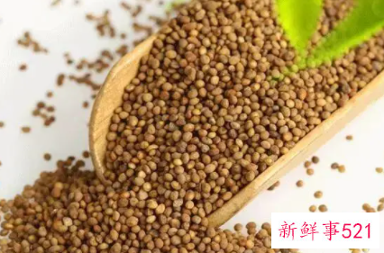 盐菟丝子的功效与作用