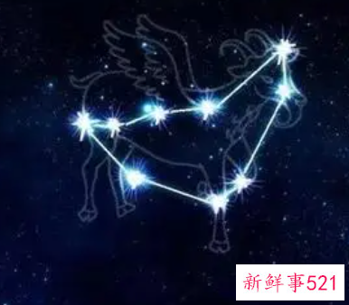 摩羯女生好追吗