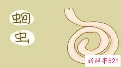 肚子有蛔虫什么症状