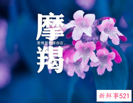 魔蝎座男友生气了怎么办