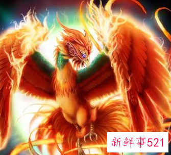 十二星座专属灵兽图片