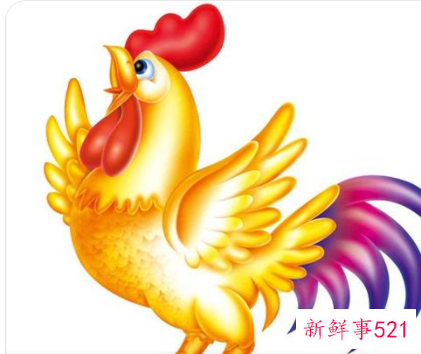 81年属鸡的人2022年运势