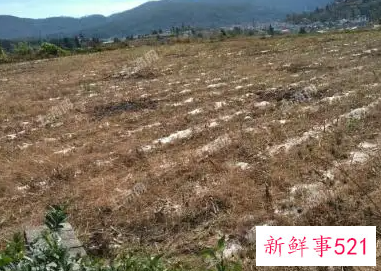 农村个人土地承包合同怎么写