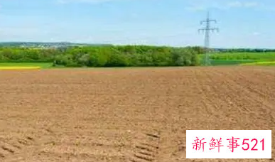 农村个人土地承包合同怎么写