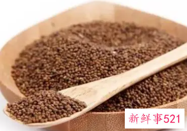 盐菟丝子的功效与作用