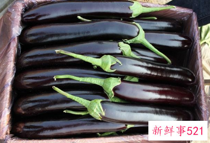 茄子的营养价值和食疗功效