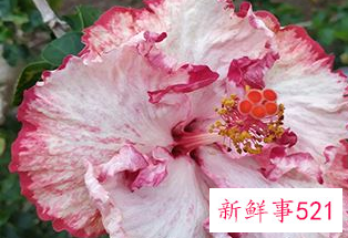 打房产纠纷官司太难了