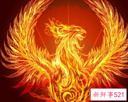 十二星座专属灵兽图片