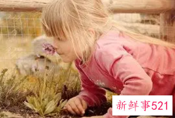 木火组合的好名字大全