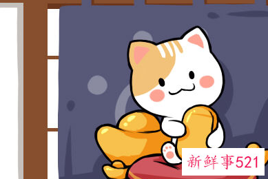 能招财运的网名