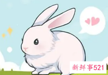 属兔财运好的微信名字