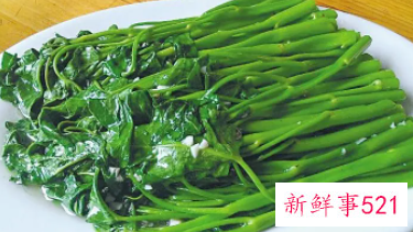 空心菜是凉性还是热性