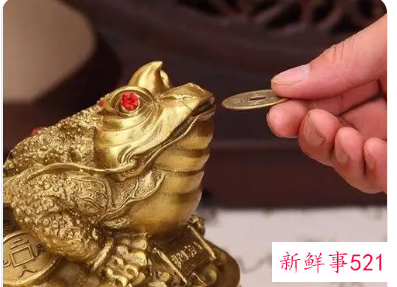 客厅金蟾的摆放图片