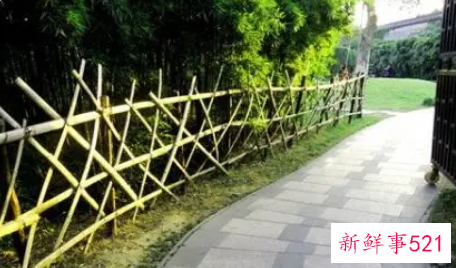 梦见篱笆是什么征兆