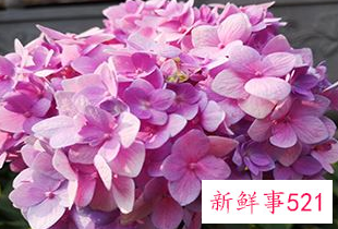 一般不良行为有哪些