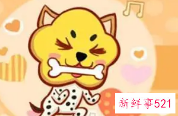 06年属狗吉祥数字和幸运数字