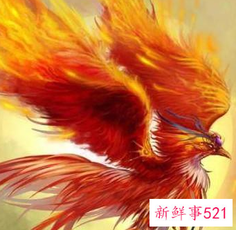 十二星座专属灵兽图片