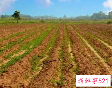 农村个人土地承包合同怎么写