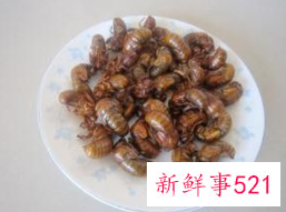 什么下酒菜能平衡健康