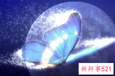 十二星座专属灵兽图片