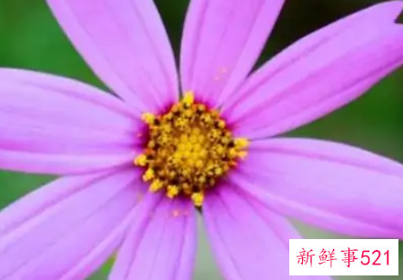 员工表现差的简短评语