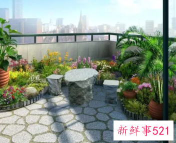 阳台适合种什么植物风水好