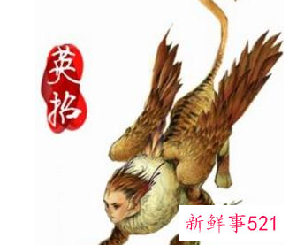 十二星座专属灵兽图片