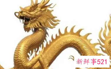 属龙女人戴什么能好运