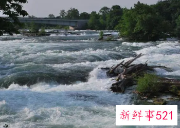 已婚妇女梦见水是什么意思