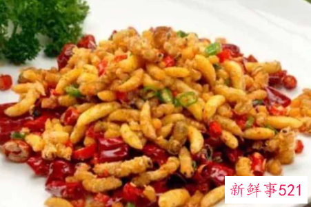 经常吃蜂蛹好不好