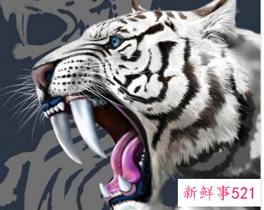 天蝎座属什么最厉害