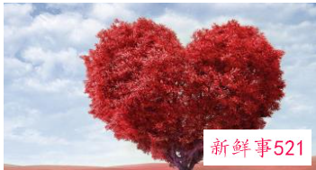 爱一个人的微信名