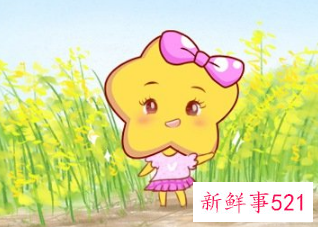 处座男金牛女配对