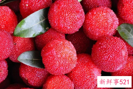 婴幼儿期宝宝能吃杨梅吗