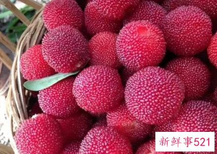 婴幼儿期宝宝能吃杨梅吗