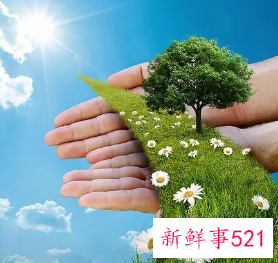 关于保护环境的措施