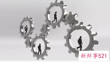 坚决履职尽责报告