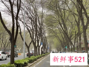 我国东部多地受较强冷空气影响将有较强降水