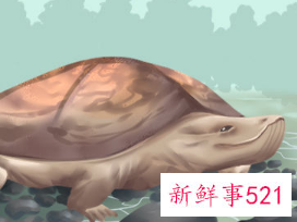 单身狗不能触犯的卧室风水禁忌