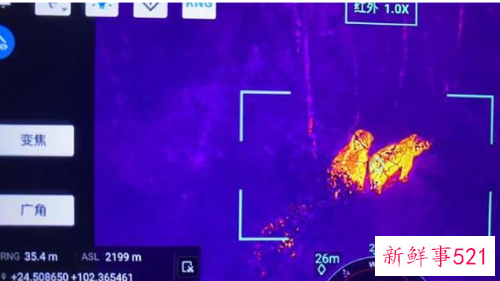 云南象群总体向西迁移