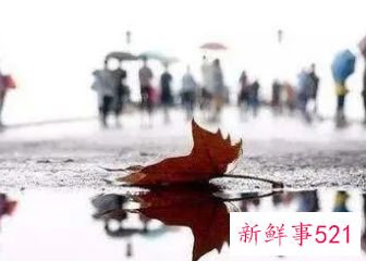 我国东部多地受较强冷空气影响将有较强降水