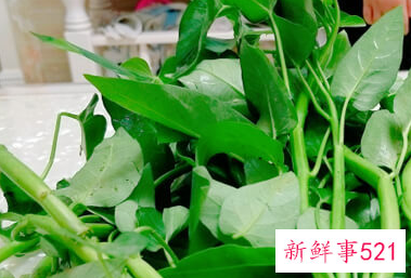 新鲜蔬菜的营养价值