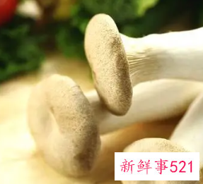 鸡腿菇和杏鲍菇的营养价值