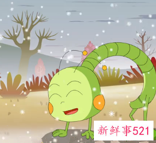 二十四节气小雪主题活动