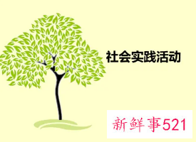 社会实践报告一般写什么内容
