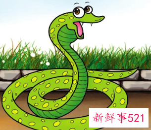 已婚男人梦见蛇是妻子要怀孕了吗