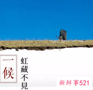 二十四节气小雪主题活动