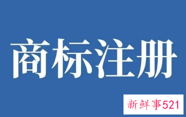 注册商标名字要求