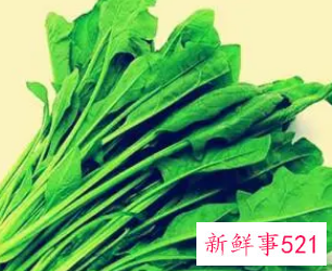 菠菜的搭配禁忌