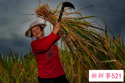 2021年秋收在什么时候